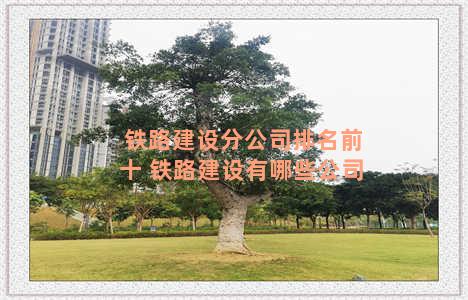 铁路建设分公司排名前十 铁路建设有哪些公司